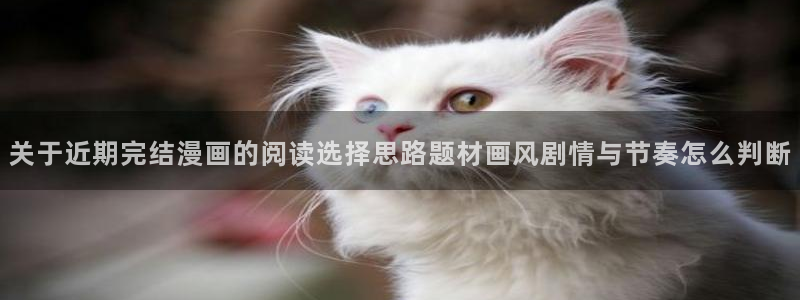 风车漫画:关于近期完结漫画的阅读选择思路题材画风剧情与节奏怎么判断